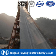 Roller Chain Chemical Conveyor Belt